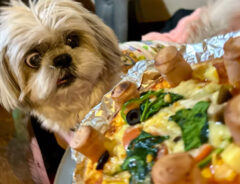 夫が作るピザと犬の画像