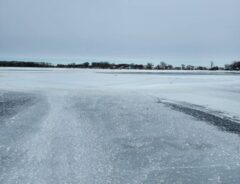 凍った湖の写真　真ん中をよく見ると…？　「とても美しい」「助けてくれてありがとう」