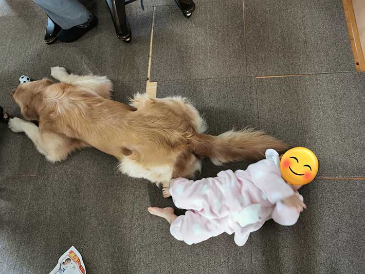 赤ちゃんと犬の写真