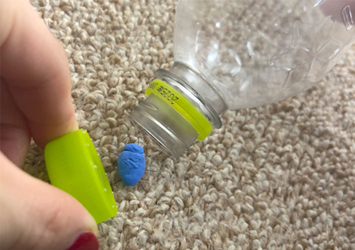 ペットボトルのフタで虫を誘導し虫をペットボトルに入れている写真