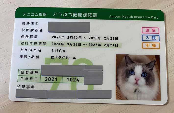 動物保険証の写真