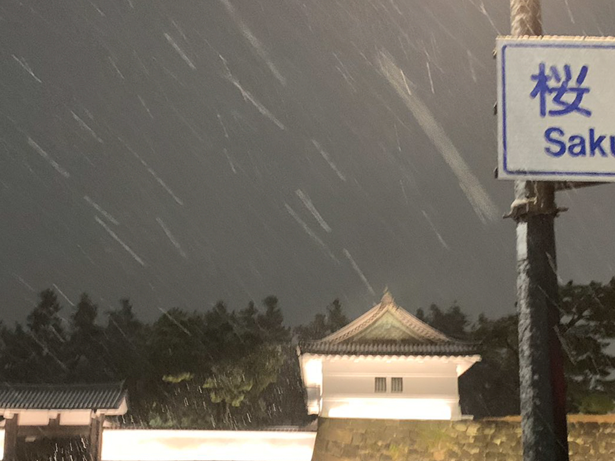 雪の東京の写真