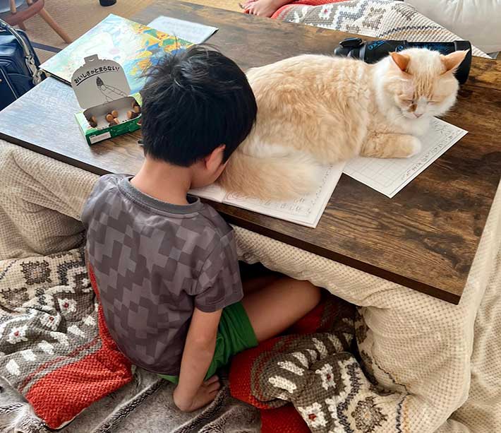 宿題する小学生と猫の写真