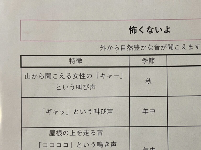 プリントの写真