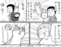 飼い主「いつも通りだな」　猫と１か月ぶりの再会を果たすも…？