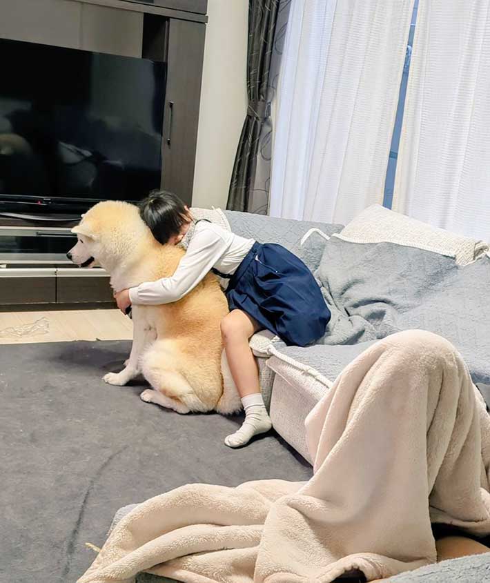 秋田犬に抱きつく小学生