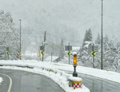 雪が積もった道路