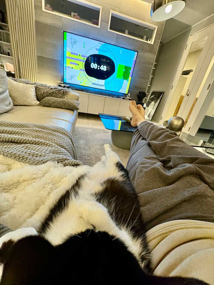 猫と一緒にテレビを観ている写真