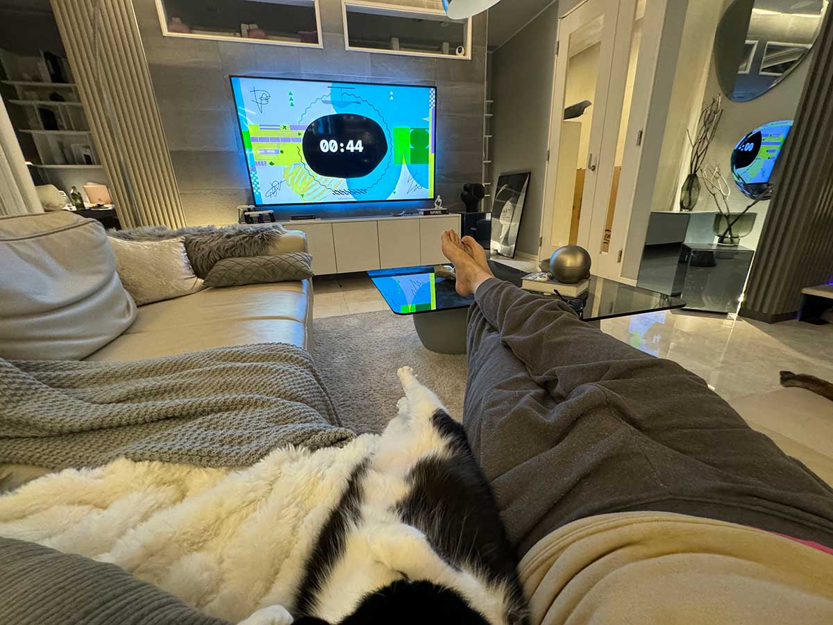 猫と一緒にテレビを観ている写真