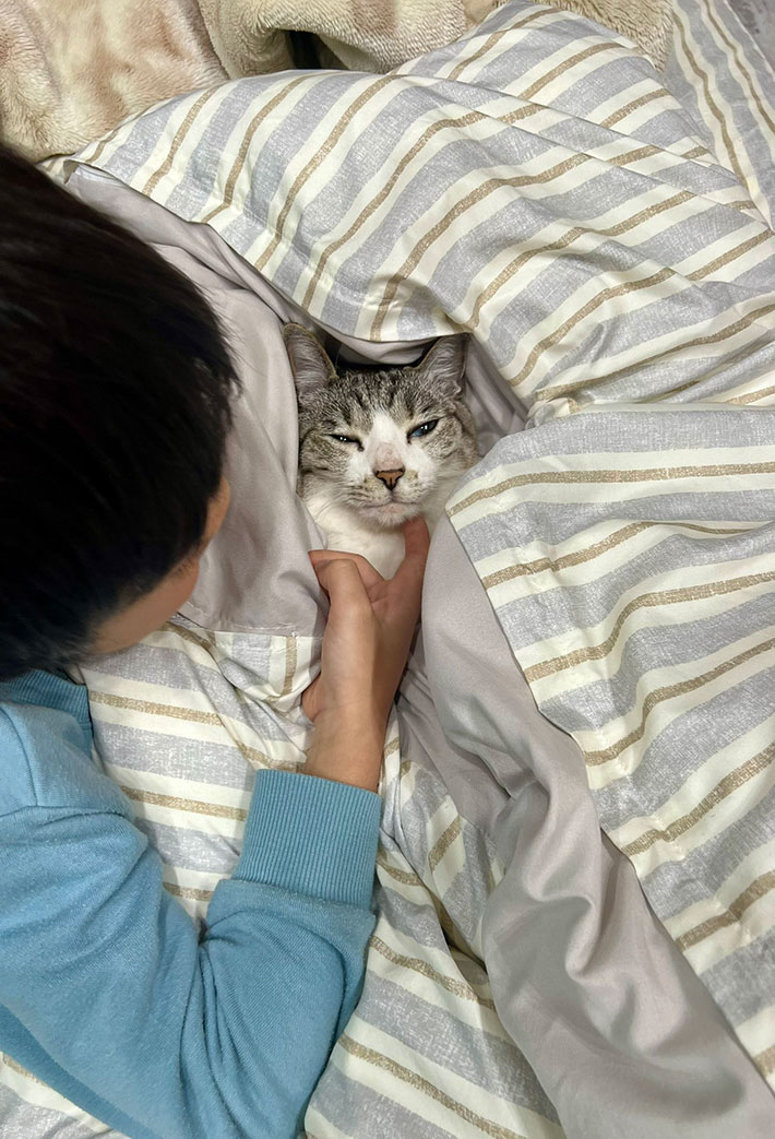 布団にいる猫と子供の写真
