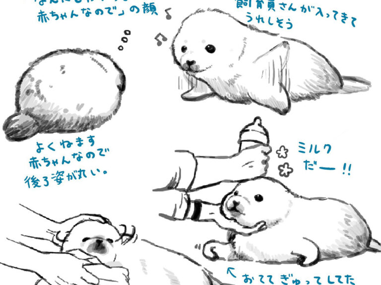 ゴマフアザラシの赤ちゃんのイラスト