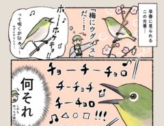 @iirotoriiさん野鳥の漫画画像