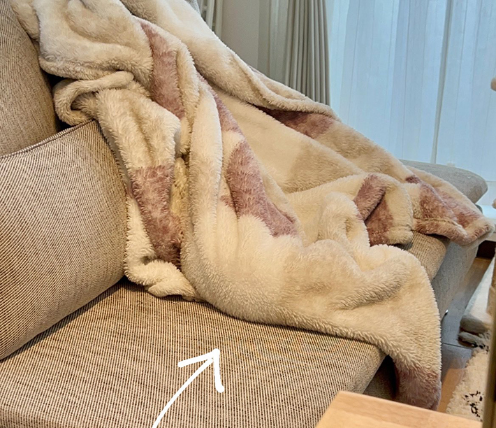 毛布の中に猫がいる写真