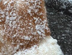 雪の中でおすわりする秋田犬　その背中がまるで？　「お砂糖たっぷり」「かわいすぎ」