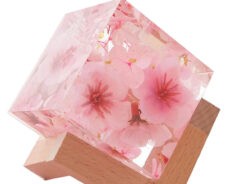 クリスタルハーバリウム 桜の画像