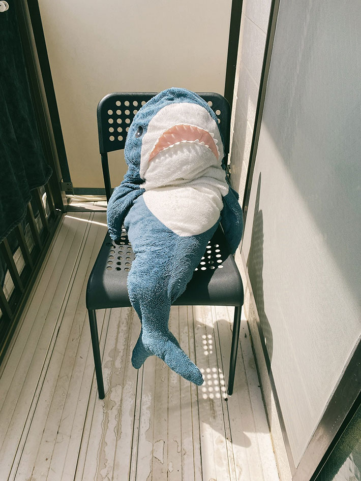 サメのぬいぐるみの写真