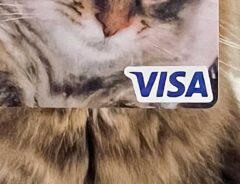 猫のクレジットカードの写真