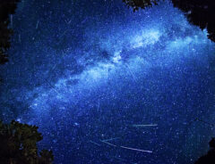 ２０２４年４月は『こと座流星群』が見頃　夜空にする願いごとは？