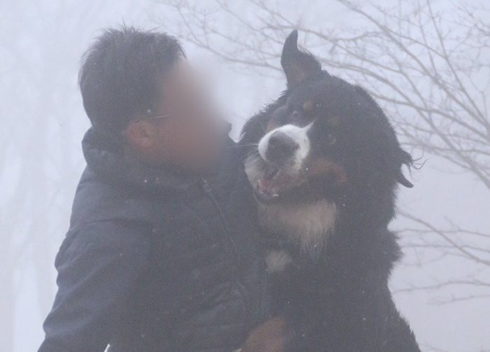 犬と飼い主の写真