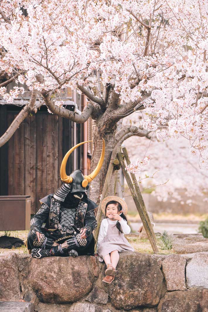 桜の下で会話する鎧武者と女の子の写真