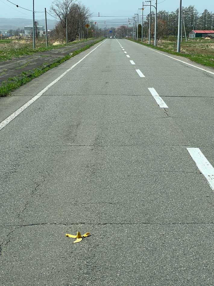 道路に落ちたバナナの写真