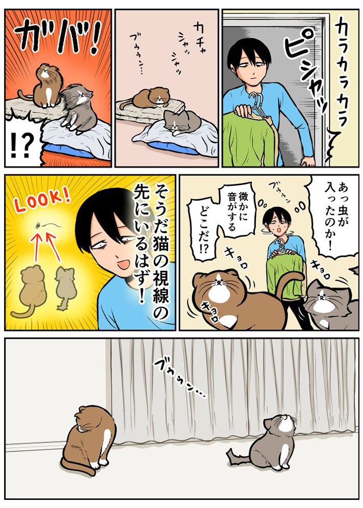 『うちの猫は虫に対して無力』の漫画画像