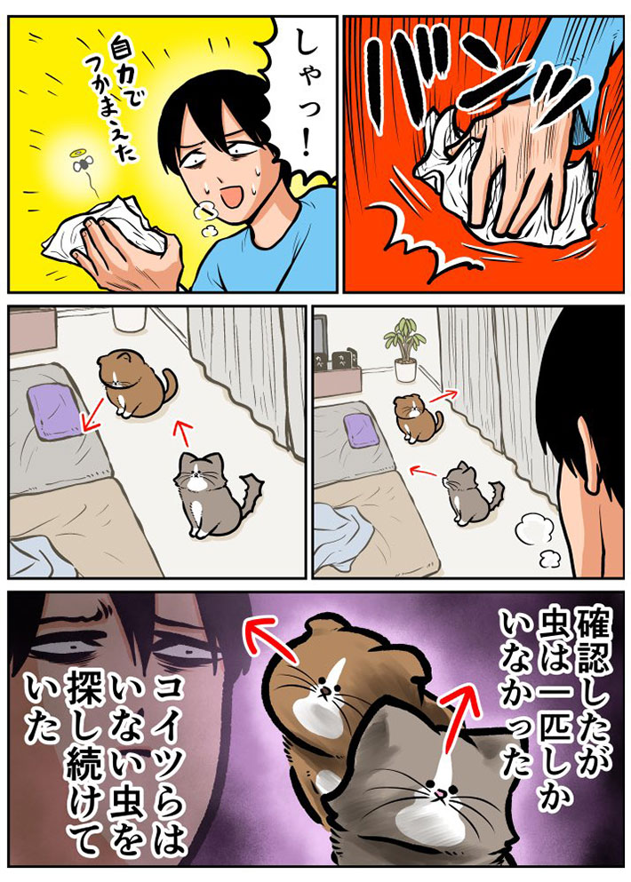 『うちの猫は虫に対して無力』の漫画画像