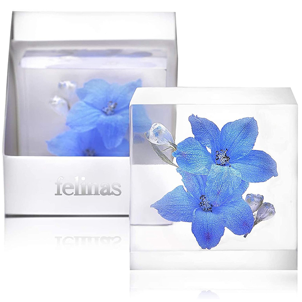 幸せの青い花 デルフィニュームの画像