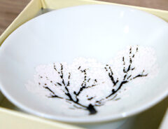 「買うならセール中の今」桜が満開になる不思議な『白い盃』その美しさが圧巻だった！
