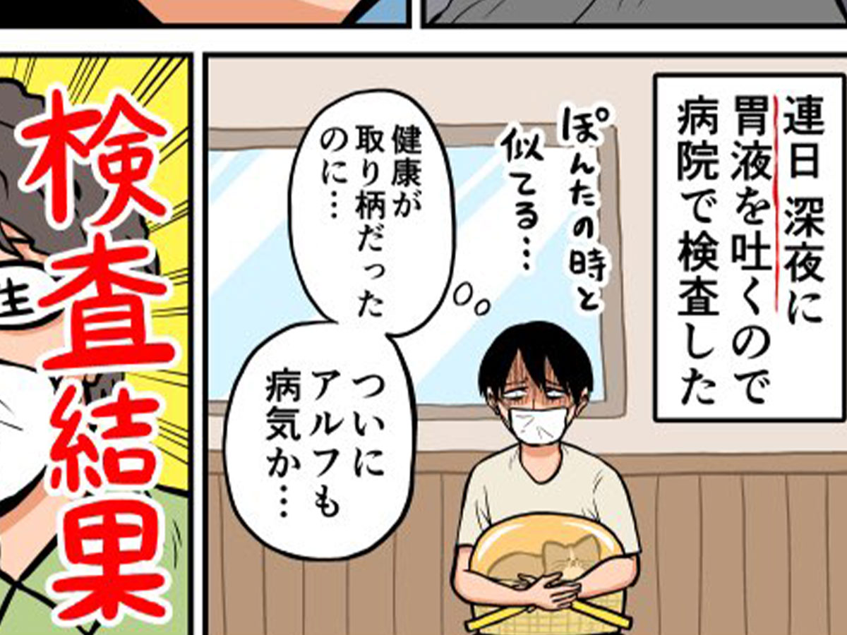 鴻池剛の漫画の画像