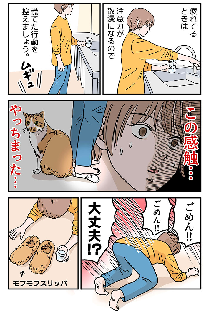 猫の漫画の画像