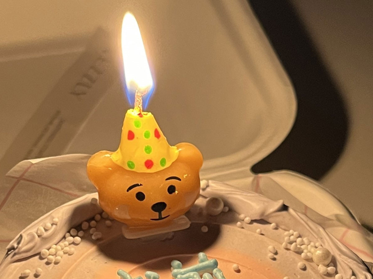 誕生日ケーキの写真