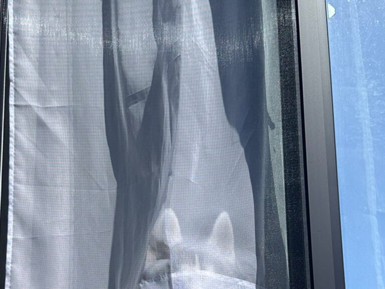 油絵 専用 窓からパパを見送る犬