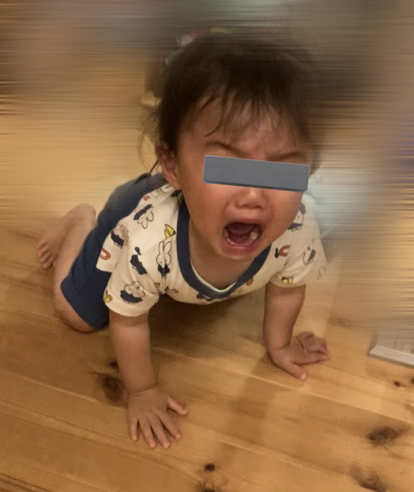 子供の写真