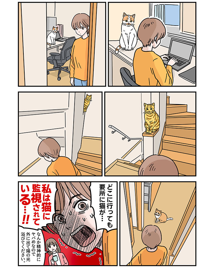 猫の漫画の画像