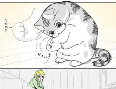 猫の漫画