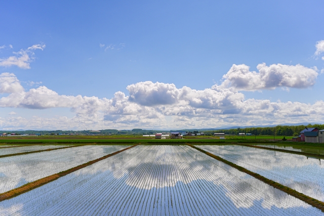 田園