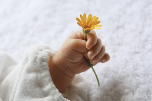 赤ちゃんと一輪の花の画像