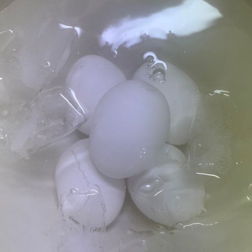 ゆで卵を氷水で冷やしている様子