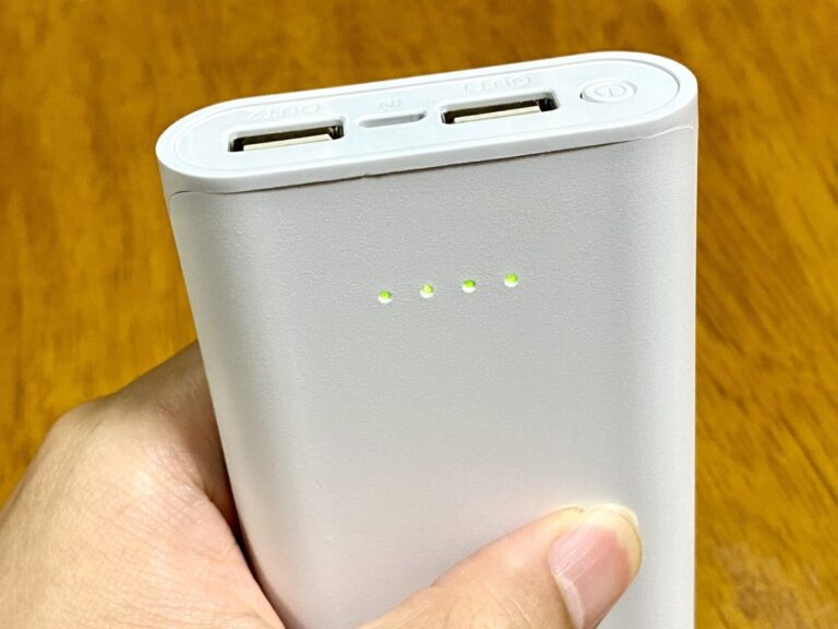 モバイルバッテリーを手に持っている様子