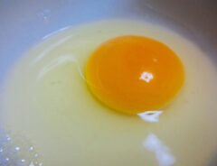 お皿に落とされた生卵