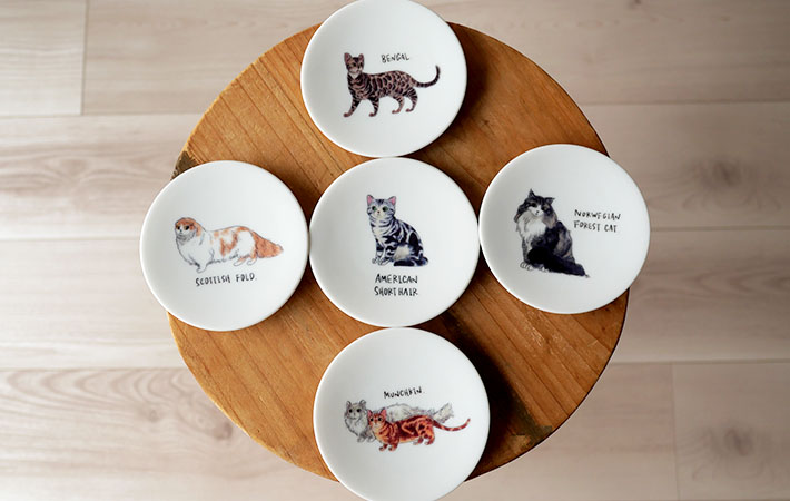 『ゆる猫豆皿』の画像