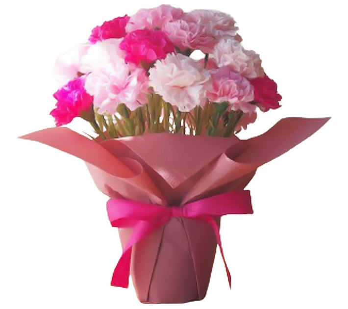 『母の日のプレゼント ソープフラワー カーネーション花鉢』の画像