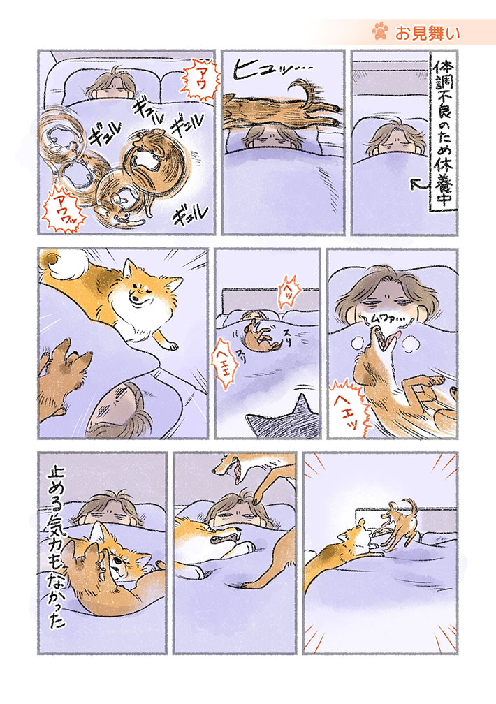 犬の漫画の画像