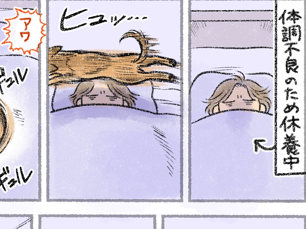 犬の漫画の画像