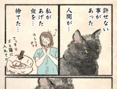 キジネコ様漫画画像