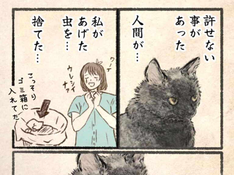 黒猫の『許せないこと』に１４万いいね 「笑った」「ごめん、でも勘弁して」 – grape [グレイプ]