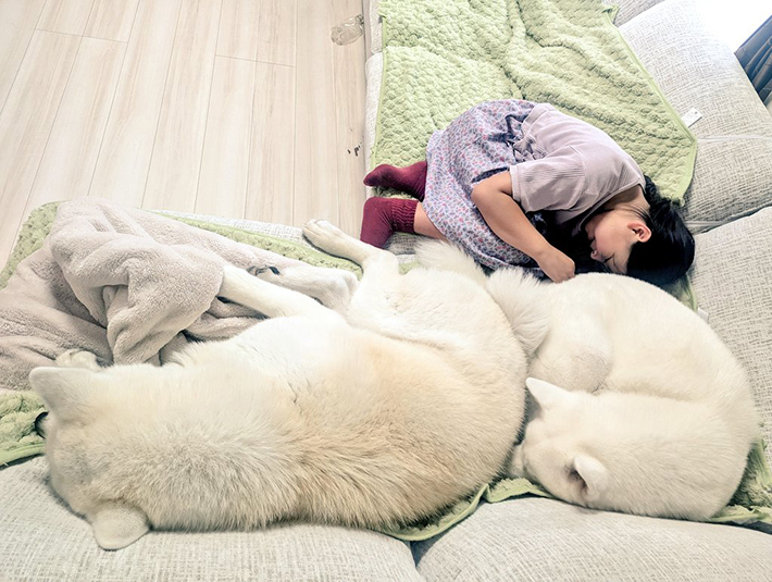 秋田犬と女の子の写真