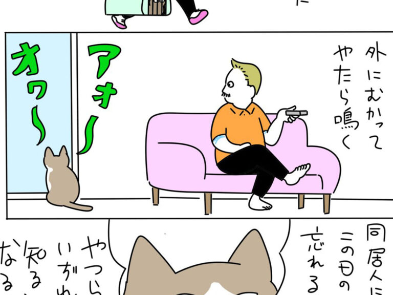 市田さんの漫画