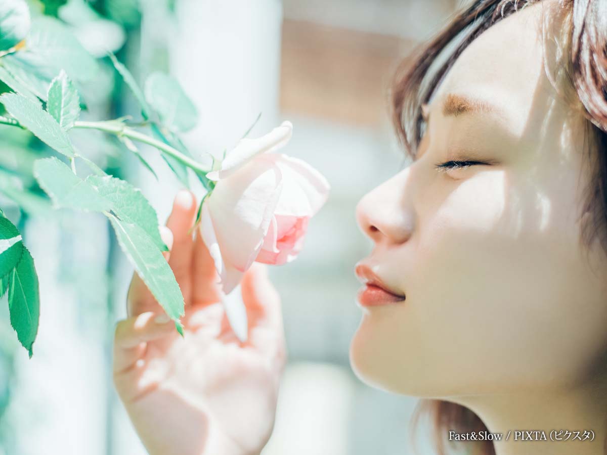バラの花を見る女性の写真